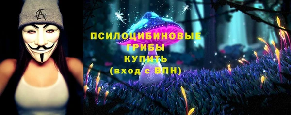 мескалин Богданович
